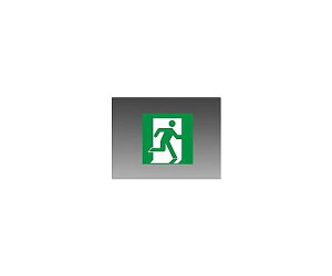 �O�H�d�@ ���� �\���� C�� S1-1091SR 1��