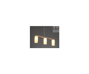 �O�H�d�@ LED�y���_���g �����v�� EL-PE17305C/L 1��