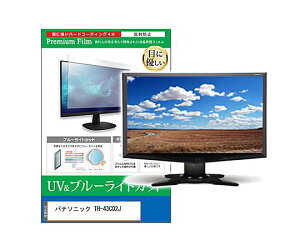 ���f�B�A�t���[�`���[ �ی�t�B���� �p�i�\�j�b�N TH-43CQ2J 43�C���` �u���[���C�g�J�b�g 1�� cblm-moni-k0001769758 �p�\�R���p�ی�t�B����