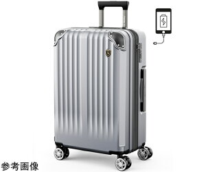 New Trip �X�[�c�P�[�X �g���@�\�E�X�g�b�p�[�t���É��_�u���L���X�^�[�� �V���o�[M 1�� NT-GB0201 Plus �o�b�O�E�|�[�`/�o�b�O�E�|�[�`�E�����b�N