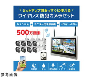 �u���[�h�E�H�b�` ���C�����X500����f�i8��j�J�����E12.5�C���`���j�^�[�^��@�iHDD2TB�t�j��̌^�h�ƃZ�b�g 1�Z�b�g SEC-W-GL8CH-2T �h�Ɨp�J�����iCCTV�j/�h�ƃJ�����iCCTV�j