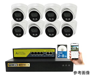 �u���[�h�E�H�b�` 500����fPoE�^�C�vNVR�h�ƃJ�����Z�b�g �h�[���J����8��AHDD4TB�t�� 1�Z�b�g SEC-N-8FM-4T �h�Ɨp�J�����iCCTV�j/�h�ƃJ�����iCCTV�j