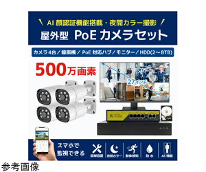 �u���[�h�E�H�b�` 500����fPoE NVR�h�ƃJ����4��E��F��AI�@�\�t����ԃt���J���[�^��@HDD4TB�E27�C���`4K���j�^�[�Z�b�g 1�Z�b�g SEC-NA-HY4G-27L-4T �h�Ɨp�J�����iCCTV�j/�h�ƃJ�����iCCTV�j