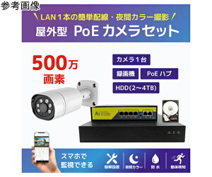 �u���[�h�E�H�b�` 500����fPoE NVR�h�ƃJ����1��E��ԃt���J���[�^��@HDD4TB�Z�b�g 1�Z�b�g SEC-N-Y1G-4T �h�Ɨp�J�����iCCTV�j/�h�ƃJ�����iCCTV�j