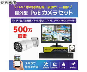 �u���[�h�E�H�b�` 500����fPoE NVR�h�ƃJ����1��E��ԃt���J���[�^��@HDD4TB�E15.6�C���`���j�^�[�Z�b�g 1�Z�b�g SEC-N-Y1G-16L-4T �h�Ɨp�J�����iCCTV�j/�h�ƃJ�����iCCTV�j