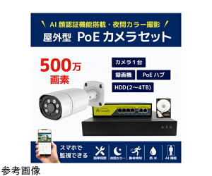 �u���[�h�E�H�b�` 500����fPoE NVR�h�ƃJ����1��E��F��AI�@�\�t����ԃt���J���[�^��@HDD4TB�Z�b�g 1�Z�b�g SEC-NA-HY1G-4T �h�Ɨp�J�����iCCTV�j/�h�ƃJ�����iCCTV�j