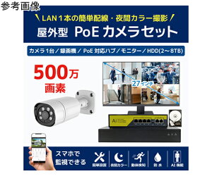 �u���[�h�E�H�b�` 500����fPoE NVR�h�ƃJ����1��E��F��AI�@�\�t����ԃt���J���[�^��@HDD4TB�E27�C���`4K���j�^�[�Z�b�g 1�Z�b�g SEC-NA-HY1G-27L-4T �h�Ɨp�J�����iCCTV�j/�h�ƃJ�����iCCTV�j