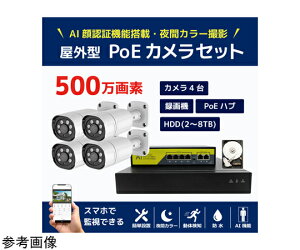 �u���[�h�E�H�b�` 500����fPoE NVR�h�ƃJ����4��E��F��AI�@�\�t����ԃt���J���[�^��@HDD4TB�Z�b�g 1�Z�b�g SEC-NA-HY4G-4T �h�Ɨp�J�����iCCTV�j/�h�ƃJ�����iCCTV�j