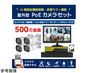 �u���[�h�E�H�b�` 500����fPoE NVR�h�ƃJ����4��E��F��AI�@�\�t����ԃt���J���[�^��@HDD4TB�E15.6�C���`���j�^�[�Z�b�g 1�Z�b�g SEC-NA-HY4G-16L-4T �h�Ɨp�J�����iCCTV�j/�h�ƃJ�����iCCTV�j