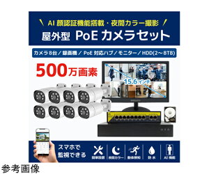 �u���[�h�E�H�b�` 500����fPoE NVR�h�ƃJ����8��E��F��AI�@�\�t����ԃt���J���[�^��@HDD4TB�E15.6�C���`���j�^�[�Z�b�g 1�Z�b�g SEC-NA-HY8G-16L-4T �h�Ɨp�J�����iCCTV�j/�h�ƃJ�����iCCTV�j