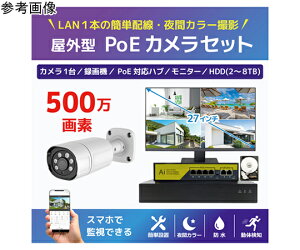 �u���[�h�E�H�b�` 500����fPoE NVR�h�ƃJ����1��E��ԃt���J���[�^��@HDD4TB�E27�C���`4K���j�^�[�Z�b�g 1�Z�b�g SEC-N-Y1G-27L-4T �h�Ɨp�J�����iCCTV�j/�h�ƃJ�����iCCTV�j