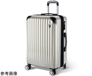 New Trip �X�[�c�P�[�X �g���@�\�E�É��_�u���L���X�^�[ �I�[�g�~�[���O���[S 1�� NT-GB0201 �o�b�O�E�|�[�`/�o�b�O�E�|�[�`�E�����b�N
