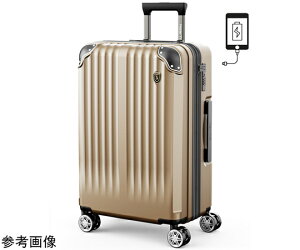 New Trip �X�[�c�P�[�X �g���@�\�E�X�g�b�p�[�t���É��_�u���L���X�^�[�� �V�����p���S�[���hL 1�� NT-GB0201 Plus �o�b�O�E�|�[�`/�o�b�O�E�|�[�`�E�����b�N