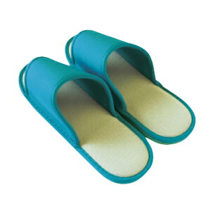 IHIVoE XbpEۃfBXyT[pXbp ~gO[(10\N)