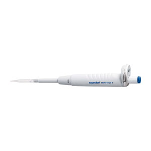 �G�b�y���h���t �G�b�y���h���t ���t�@�����X2�^F 4925000081(25UL)�L�C��
