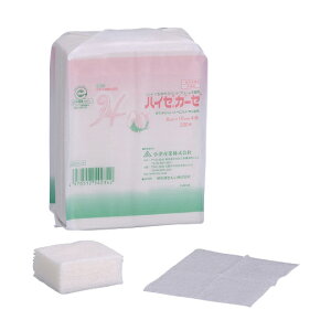 ÎY nC[K[[il܁j8X10cm 4×5 051-54234(200}CC)