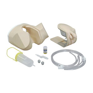 sȊw AV~[^ijj j 11381-100