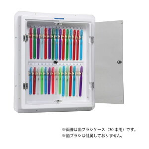 {Ê팤 uVP[XiX^_[hj 50{pEX^_[h 20310(50zE)