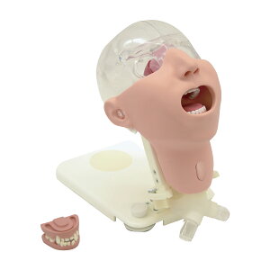 京都科学 口腔ケアモデル アドバンスド 11408-000