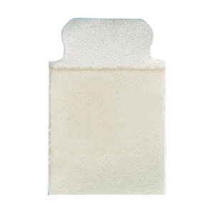 {fBJlNXg CXpbhS ECGd Sd}p 2334(100RX5tN)