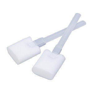 zMfBJ ^teBbNBOCO TPS-BC(30zC) ̔PʁF2