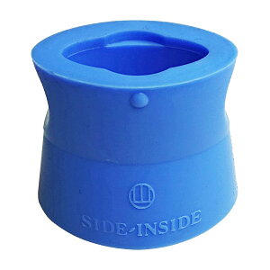 TChECTCh R CXȒːjE⏕  ̔PʁF20