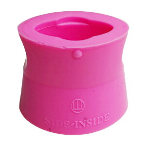 TChECTCh R CXȒːjE⏕ sN ̔PʁF20