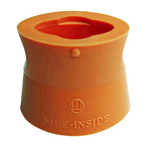 TChECTCh R CXȒːjE⏕ IW ̔PʁF20