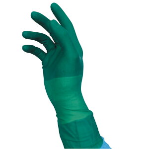 �O�����w�H�� �T���R�[�V���L�[�t�B�b�g�R���E�� 6�D5���e�b�N�X�t���[(�O����)50�\�E�C��