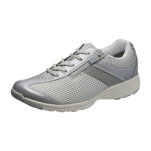 ATqV[Y ATqfBJEH[NMS|L fB[X MS-L 22D5cmKV77453(Vo[^bN)