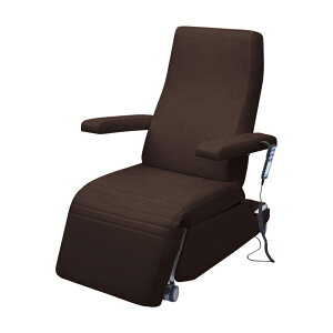 cxbh쏊 dwÖ@`FA[ rjU[TB-1557(78X113CM)