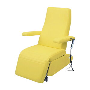 cxbh쏊 dwÖ@`FA[ rjU[CG[TB-1557(78X113CM)