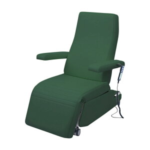 cxbh쏊 dwÖ@`FA[ rjU[fBO[TB-1557(78X113CM)