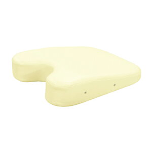 cxbh쏊 PA[oXgp}NiGAz[L oXgp rjU[N[TB-77C-27