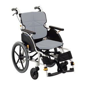 yېŁzi쏊 ԂlNXgRAv`iEA~ p O[NEXT-20B