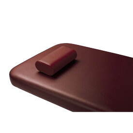 タカラベルモント 電動診察台CS用枕（S） ブラウンEX-CS-MS(300X150X80
