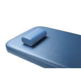 タカラベルモント 電動診察台CS用枕（S） パープルブルーEX-CS-MS(300X150X80