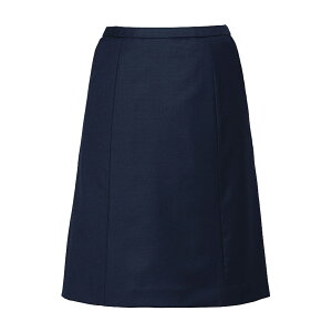 J[V[JV} CXJ[g 13EAS651(lCr[)