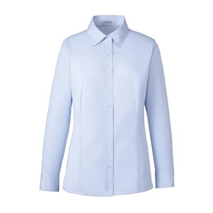 カーシーカシマ 長袖シャツブラウス 9号EWB690(ブルー)