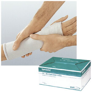 BSN@medical XyVXg GNXgt@Xg 600702 KiF2 TCYi×jF5.0×2.7m