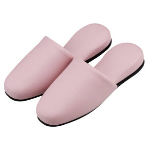 xmH XbpiRۃpXej HP-13 J[FsN F12