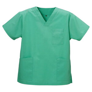 �X�N���u�i�j�����p�j DS-2001(3L) �G�������h�O���[��