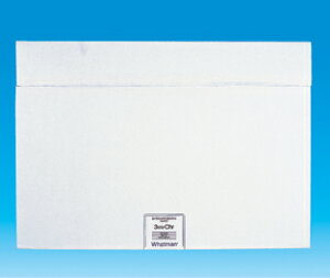 �N���}�g�뎆�p�^ 1Chr 10×30cm 100�� 3001-845