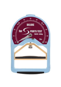 DX͌viX|[ceXgpj GX100(100KG)