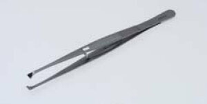 ObtF sZbg 11cm Xgbp[ ×pXeX