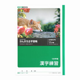 【10冊セット】かんがえる学習帳　漢字練習(120字詰) L416