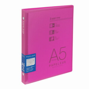 �y2���Z�b�g�z�p�y���[���@A5�~�h���o�C���_�[�@�s���N LN39P