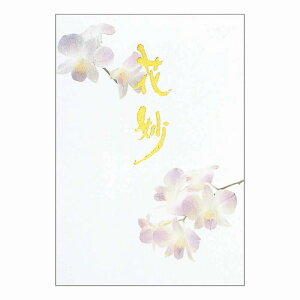 y10Zbgzⳁ@Ԗ(͂Ȃ) SEN301