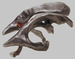 �y���������z�y�������N���k �Ώې��i�z�\���\�� �]���n�͌^ bs24 �l�̖͌^