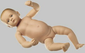 【送料無料】【無料健康相談 対象製品】ソムソ社 赤ちゃん模型 ms43 人体模型